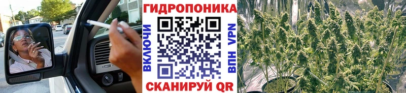 Бошки Шишки VHQ  Купить где  Вязьма 